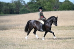 WJ7_7615