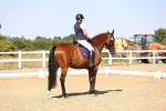 SBM_006716