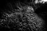 DSC02318