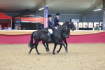 SBM_14921