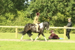 SBM_67408