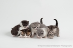 A Bundle of Fun