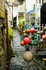 Pollpero buoys