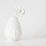 1st Print-The Rose-Gill Mackay