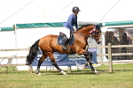 SBM_08268