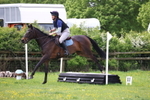 Class 3 - Minimus Pairs 50-60cm portfolio