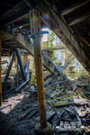 Ivy Bank Mill 4