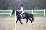 SBM_003951