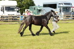 SBM_00895