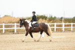 SBM_000582