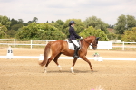 SBM_001405