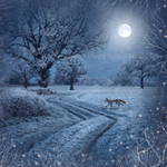 AS036 Frosty Mr Fox