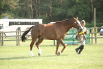SBM_10530