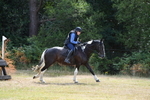 WJ5_1434