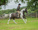 Dunblane show-134
