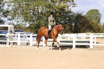 SBM_14270