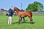 SBM_01098