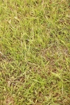 SBM_06082