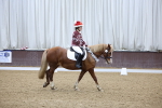 SBM_001251