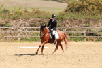 SBM_010683