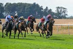 160726-Race 4-Park Lane Penny-4660