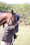 Class 22 - Ex Racehorse portfolio