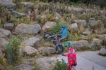 DSCF0631