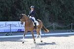 B-307-Rosalind.Canter-SILVESTERS.FINESSE portfolio