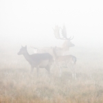 IMG_1667 v3