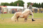 SBM_04446