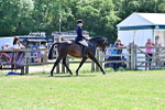 SBM_17568