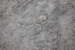 SBM_006014