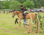 Dunblane show-529