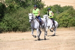 WJ6_8887