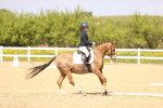SBM_008466