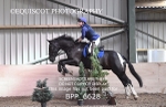 BPP_6628