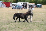 WJ6_6818