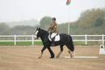 SBM_003309