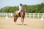 SBM_008915
