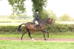 SBM_64217