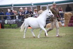 SBM_09835
