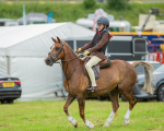 Dunblane show-68