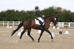 SBM_021993