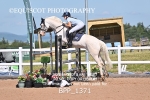 BPP_1371