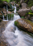 Cascade Brook