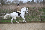 SBM_007186