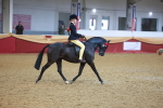 SBM_12537