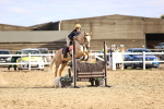 SBM_003615