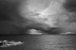 ACP_8050-2