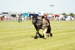 SBM_00851